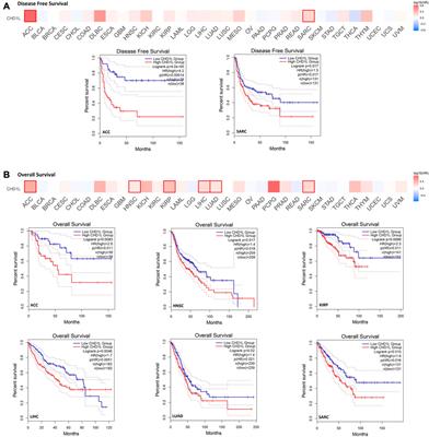 A pan-cancer analysis reveals CHD1L as a prognostic and immunological biomarker in several human cancers